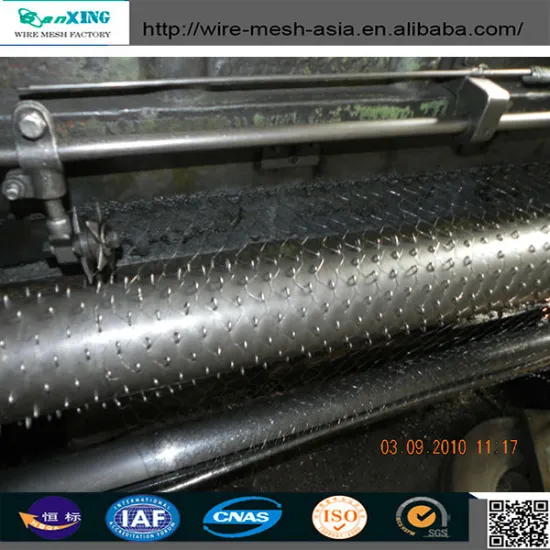 flood fighting&stone holding&gabion&poultry hexagonal wire mesh