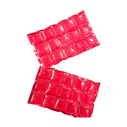 Ice Gel Pack/Pe Ice Pack/Reusable Ice Pack