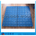 Top-Quality of Double Deck Plastic customized Pallet Mould