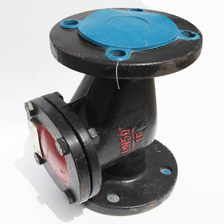 Cast iron swing check valve