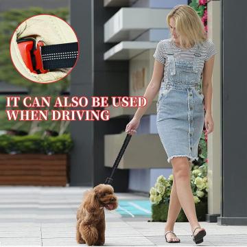 Hundsäkerhetsbälte i bil