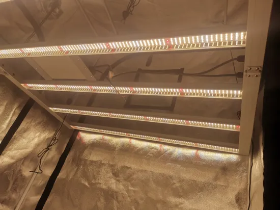 800W Dimming Grow Lights Quantum Board Samsung