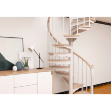 Spiral Stairs Loft Duplex Steel Wood