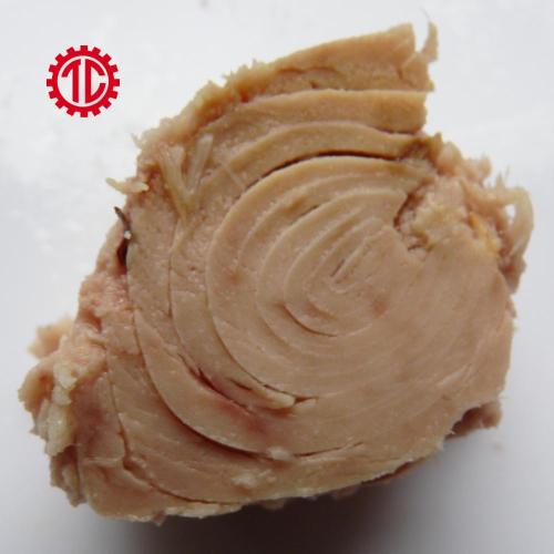 Canned Albaocre Tuna Fish Solid In Brine USA