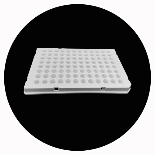 PCR Plate 96-Feely Segmented Segmented Segmented Semi-Skirted