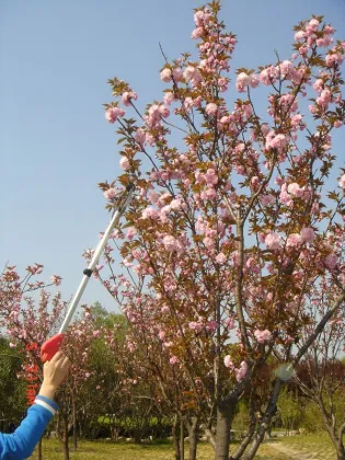 Customers' requirement handy stick china grabber