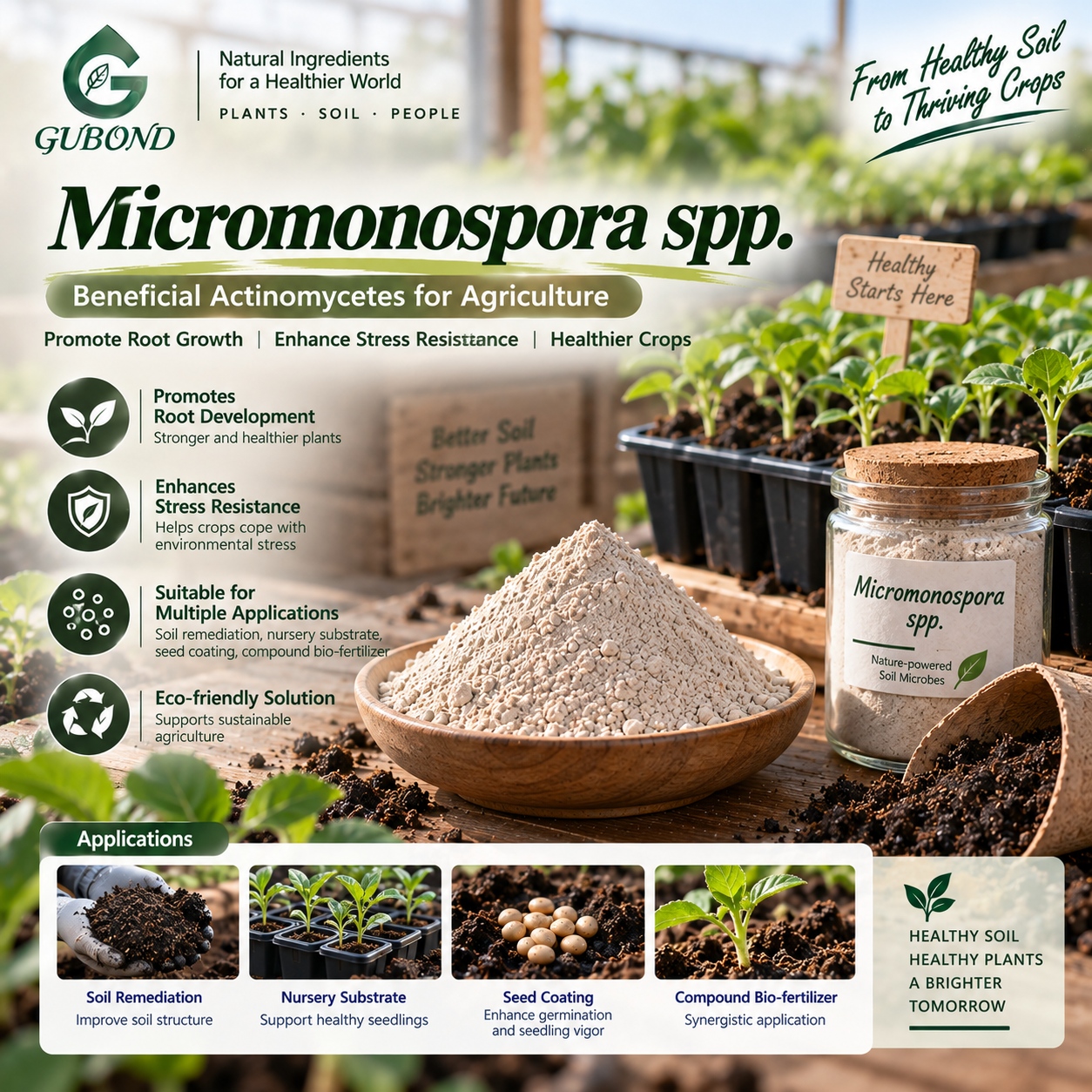 Micromonospora spp. (4)