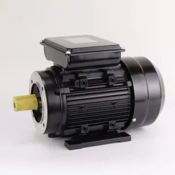 3HP Electric Motor ML Series