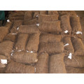 Dandong fresh chestnut para la venta