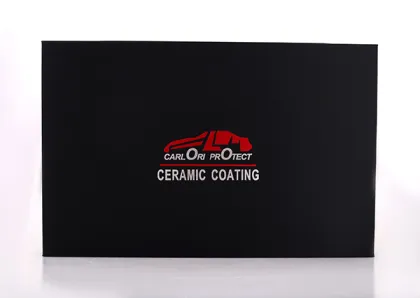 ceramic coatings paint protection