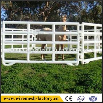 animal cattle yard fence