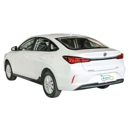 2024 E Star Yidong EV: Brand New Electric Car