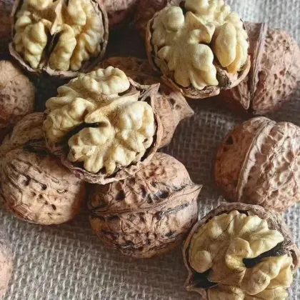 Yunnan Water-Washed Walnut Fruit