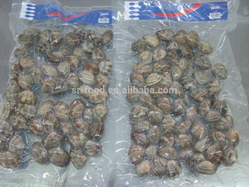 raw frozen short necked clam