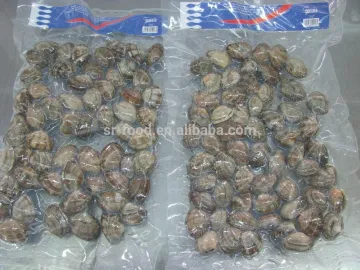 raw frozen short necked clam