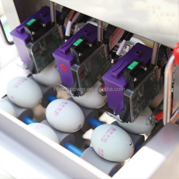 304 Stainless Steel Automatic Weighing Egg Grader and Sorter Machine