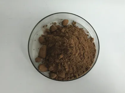 Hot Sell Agaricus Bisporus Mushroom Extract Powder