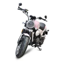 popular cool racing motorcycle for adults long range 130km/h disc brake 250cc motor gasoline bike
