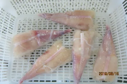High Qualtiy Fresh Frozen Monkfish