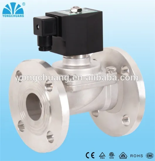 brass stainless steel Steam solenoid valve 24v 220vac