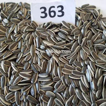 Top grade sunflower seeds for human consumption