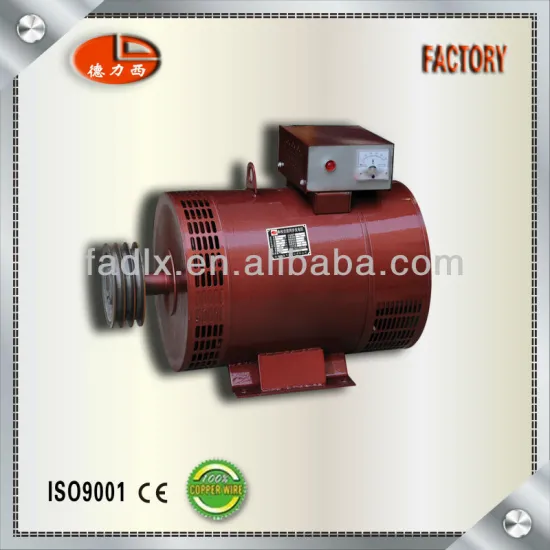 Delixi 100% Copper Wire ST Single Phase AC Generator 220v