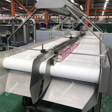 SUS304 Tarikh Sorting Table Belt Conveyor