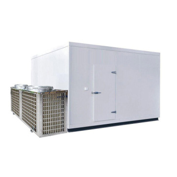 Hot Air Convection Drying Oven Machine / Onion Drying Machine