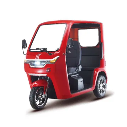 EEC Certificate Electric Tricycle Adult Cargo Passenger Three Wheels electric tuk tuk