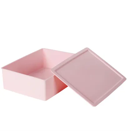 Plastic Bra Organizer Storage Box
