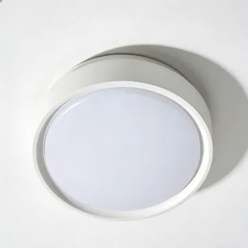 Minimalist flush ceiling light LED