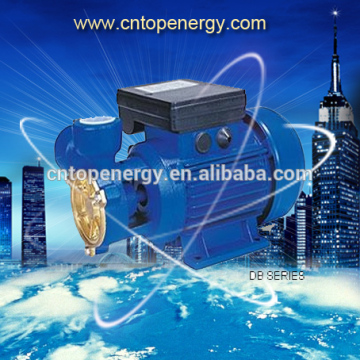 China Manufacturer Lowest price QB DB series QB60 DB125 self-suction Electric Clean Water pumps with Thermal Protector