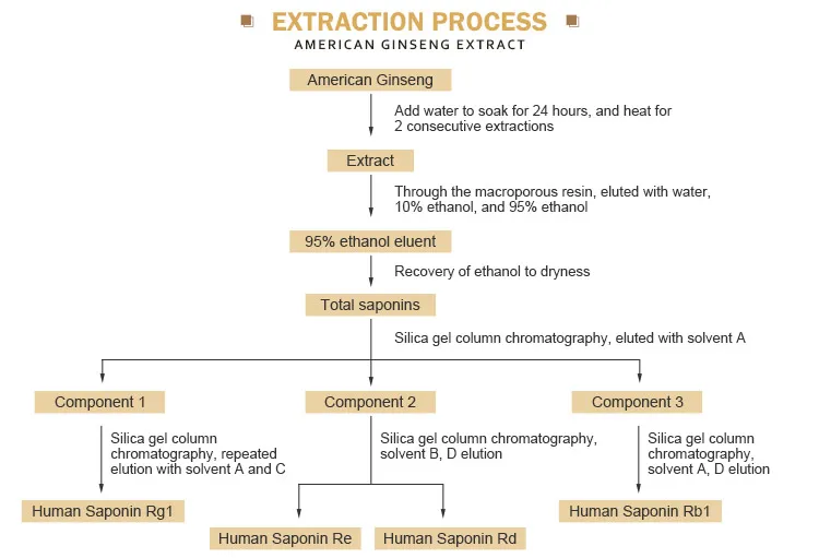 American Ginseng Extract (7)