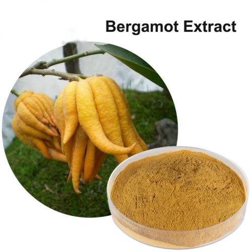 Natural 10: 1 Bergamot Extract Bergamot Fruit Extract