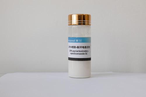 80 g/l piraclostrobina+120 g/l epossiconazolo SC