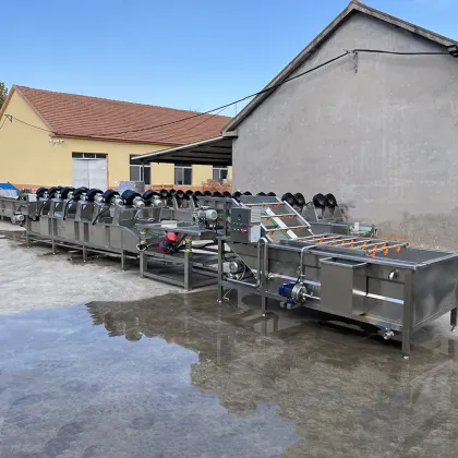 Vegetable and Fruit Cleaning Washing Machine