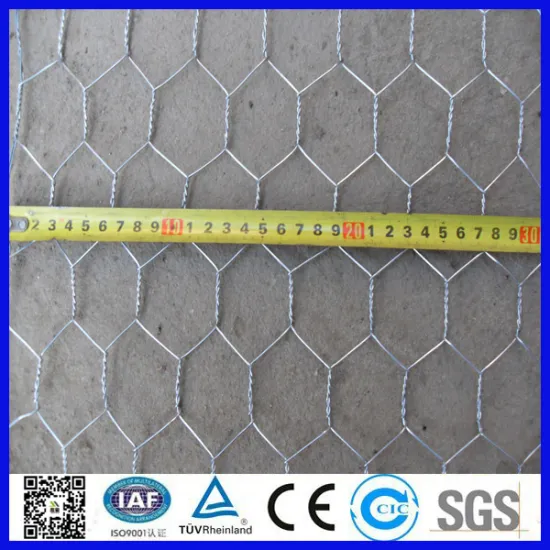 Anping hexagonal mesh/chicken mesh