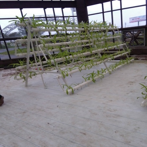 Pusingan NFT Hydroponic Tower Growing Systems Untuk Sayuran