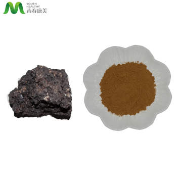 Shilajit Extract Pulver Gesundheits Rohstoffe