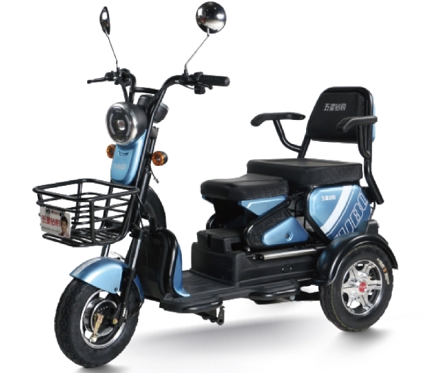 S2 (Leisure Electric Tricycle)