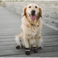 Chaussures de chien bottes de chien étanche