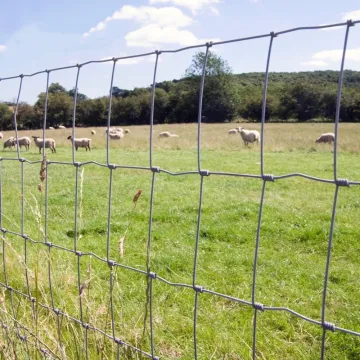 Hot-dip galvanizing Goat Fencing for Farm Use
