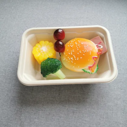 Disposable Tableware Food Packaging 650ML Sugarcane Boxes