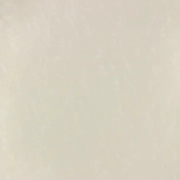 600*600mm Souble Salt Polished Porcelain tiles