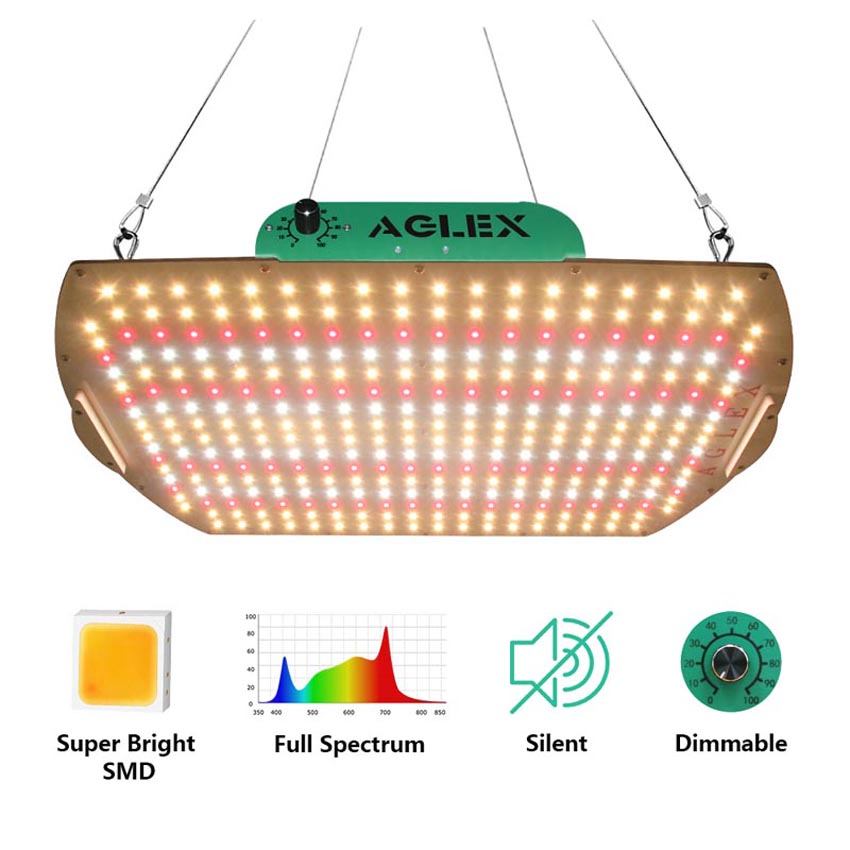 水耕栽培野菜フルスペクトル量子LEDグローライト