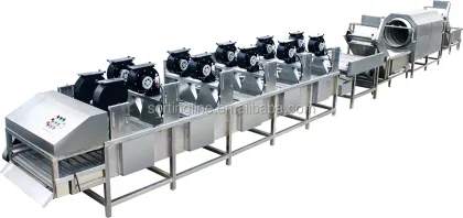 Automatic Fruit and Vegetable Washing Machinery: Fresh Ginger Washing Machine