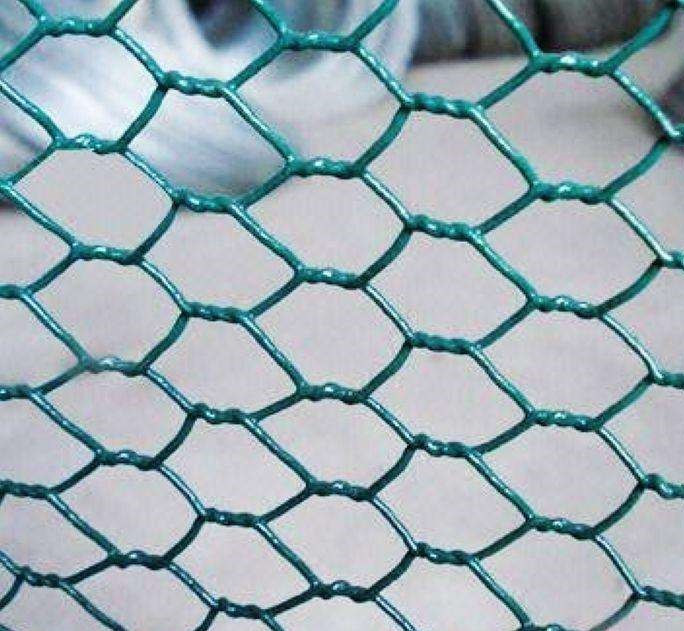Pvc Coated Hexagonal Wire Netting5