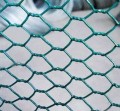 Rede de arame hexagonal revestido com PVC