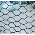 Hexagonal Wire Netting- Pvc Coated Wire PVC Coated Hexagonal Wire Netting Manufactory