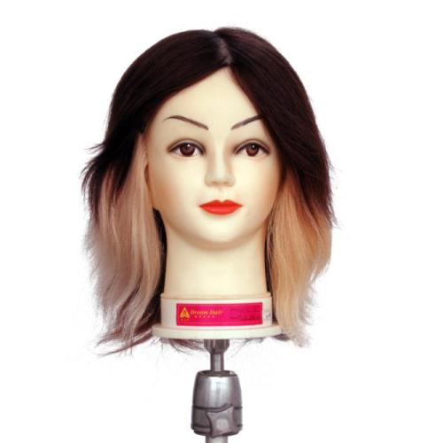 4 COLOR TRAINING MANNEQUIN HEAD